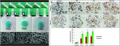 Biomaterials-Induced Stem Cells Specific Differentiation Into Intervertebral Disc Lineage Cells